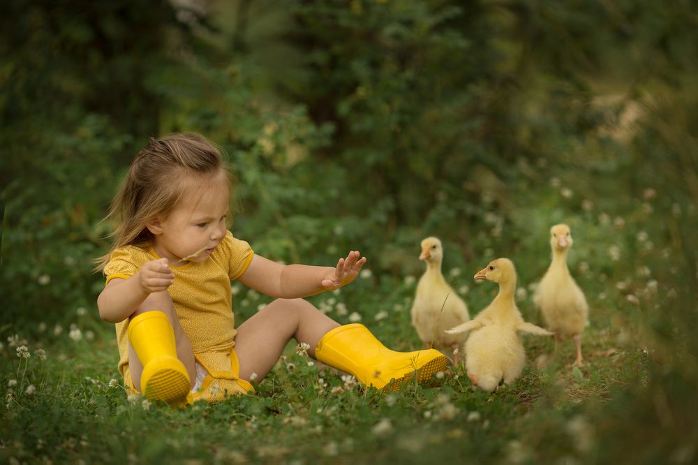 Photograph by Людмила Казакова