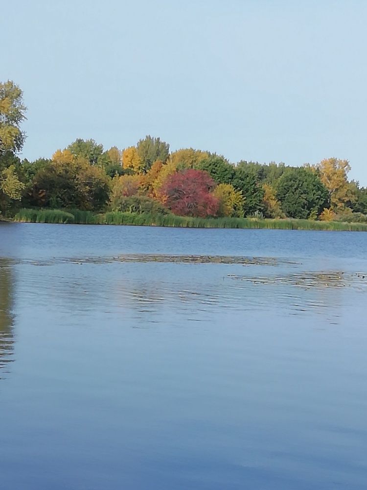 Осенний пейзаж