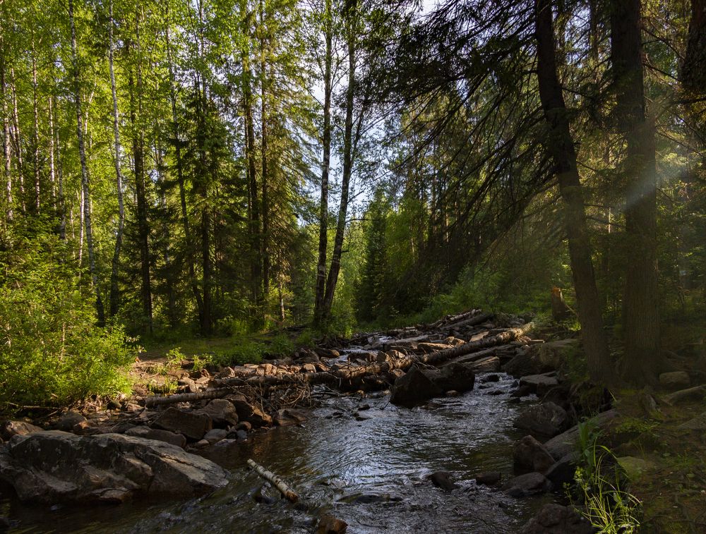 Свет и вода