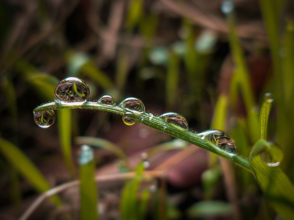 Photograph by Douila Abdelghani