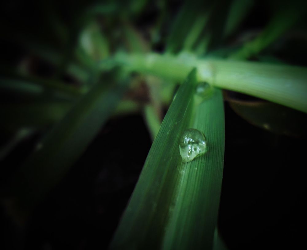 Photograph by Douila Abdelghani