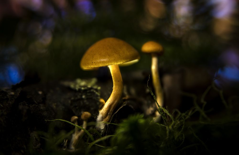 Photograph by Василий Либко