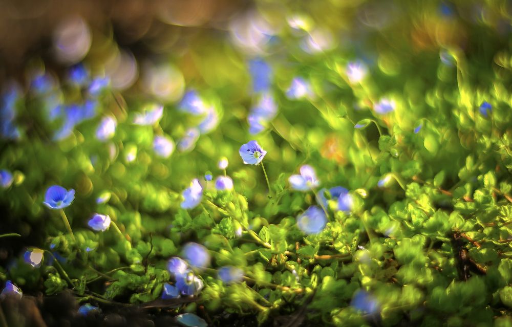 Photograph by Василий Либко