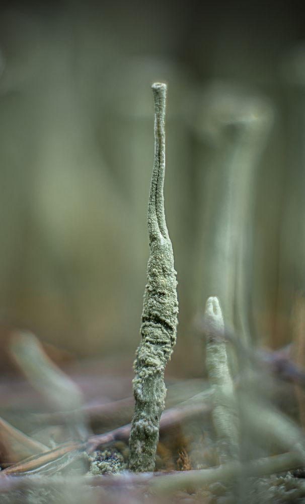 Photograph by Василий Либко