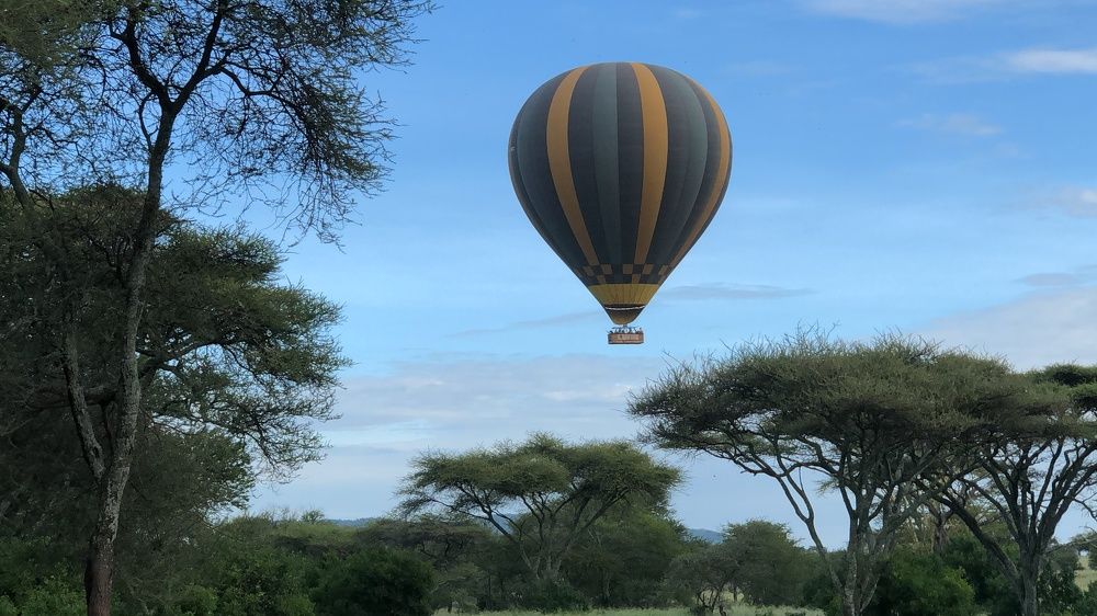 Photograph by Paulo Faustine