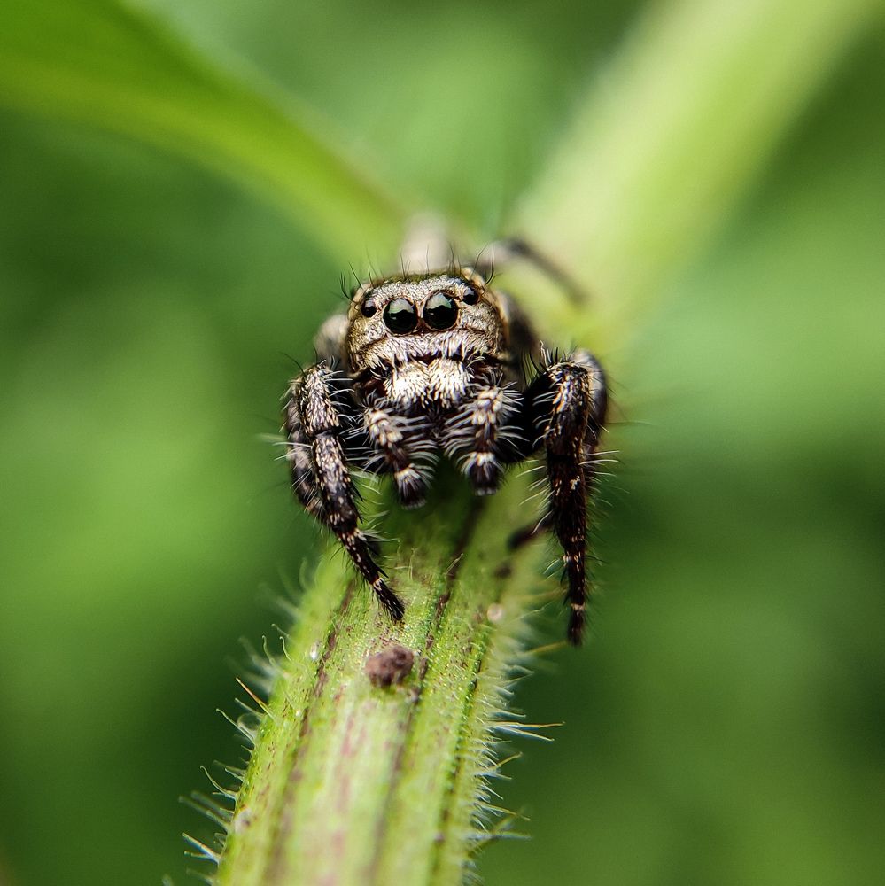 Photograph by Antaryami Das