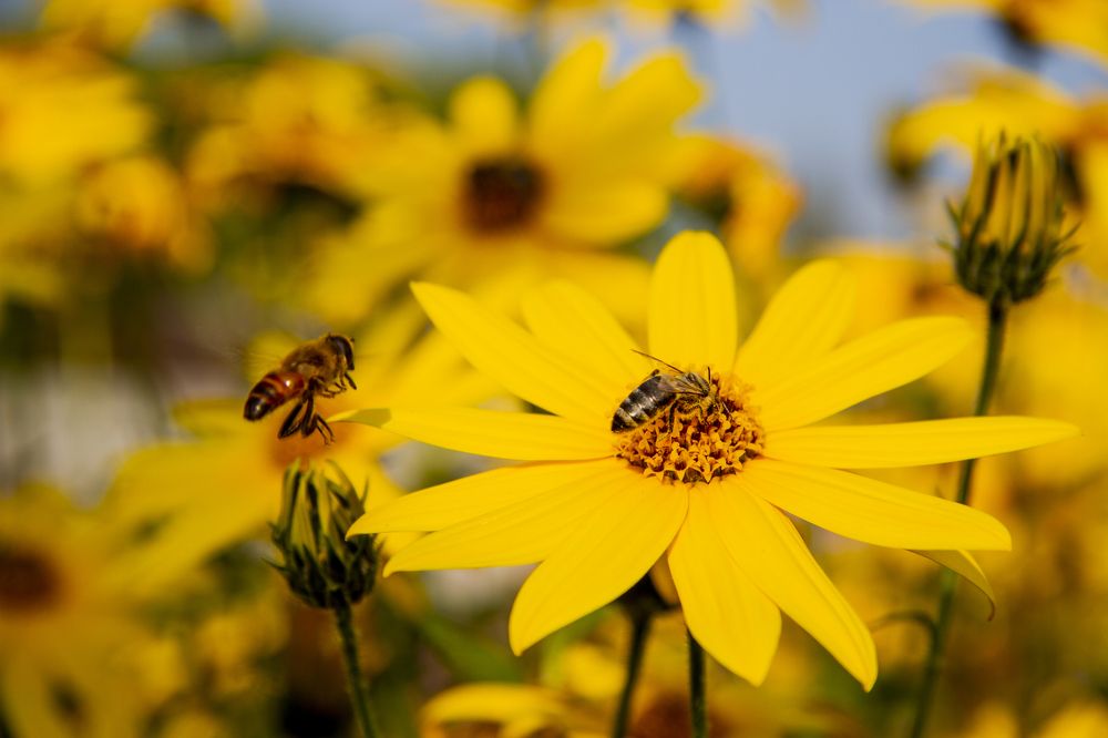 Photograph by Anton Gaev