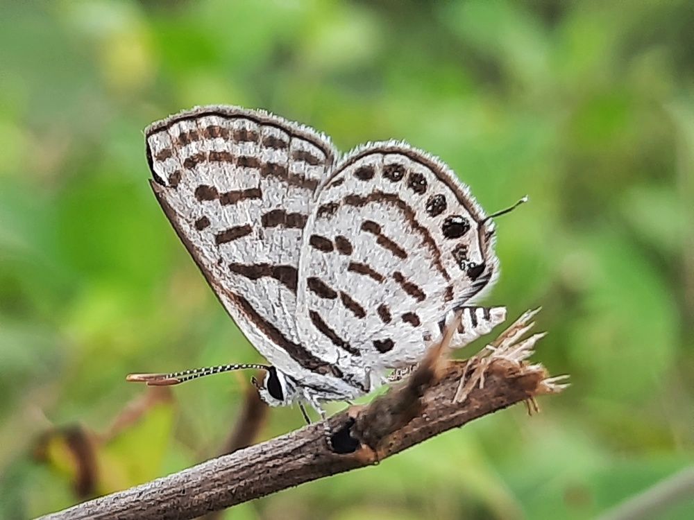 Photograph by Bapodara Sugha