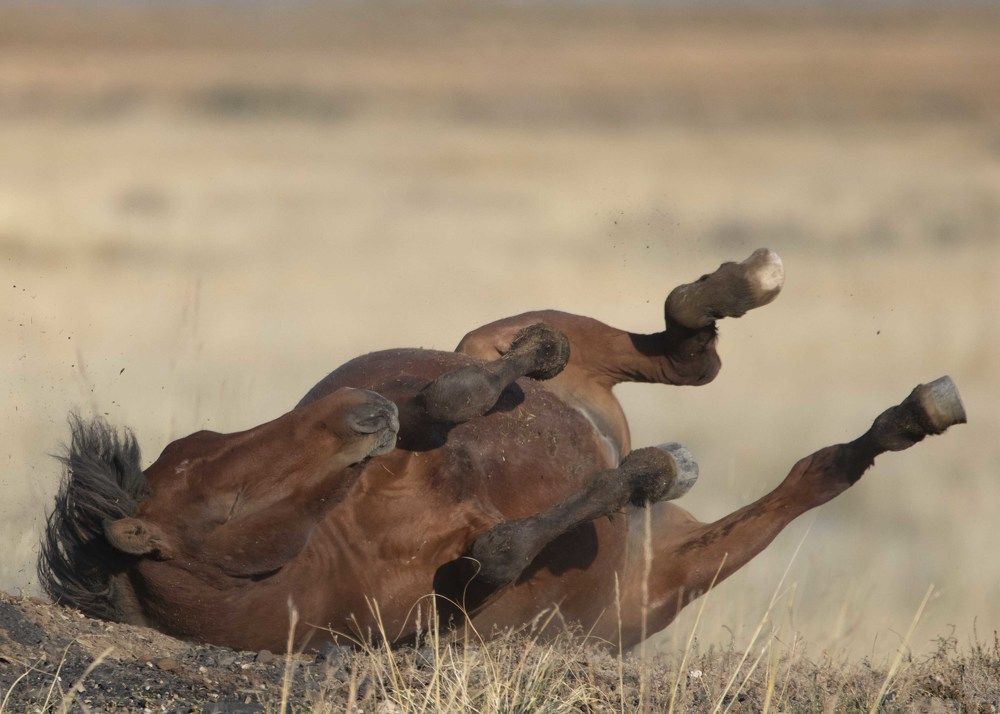 Photograph by Денис Жбир