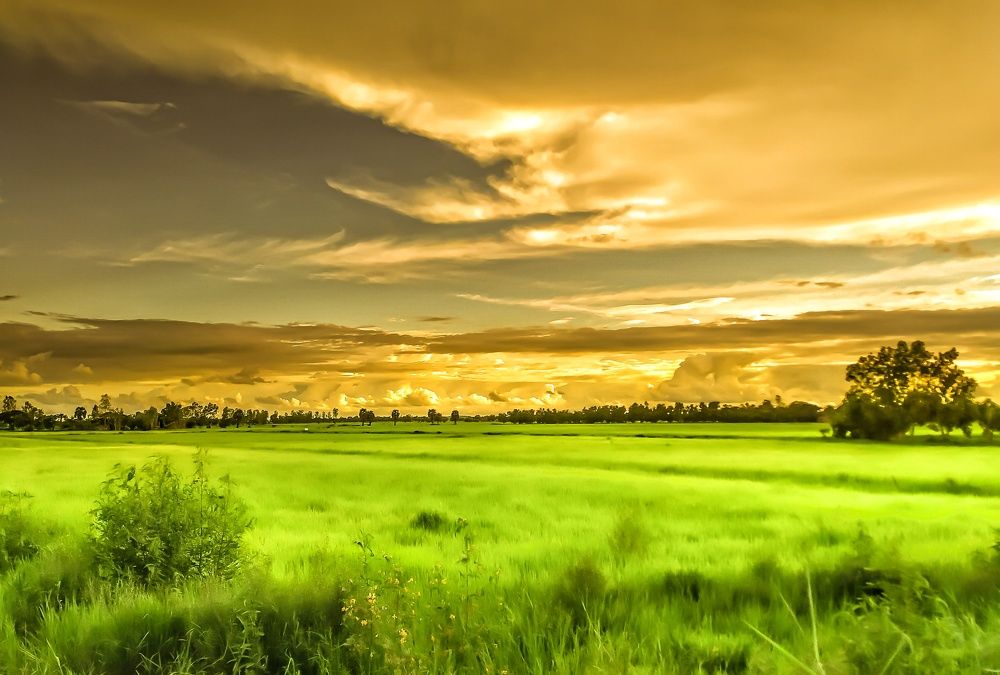 Photograph by Zin Thant