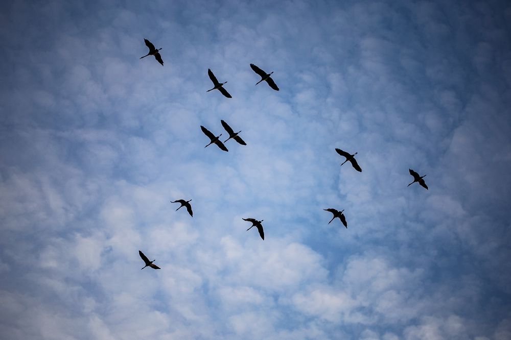 Photograph by ILONA KILA