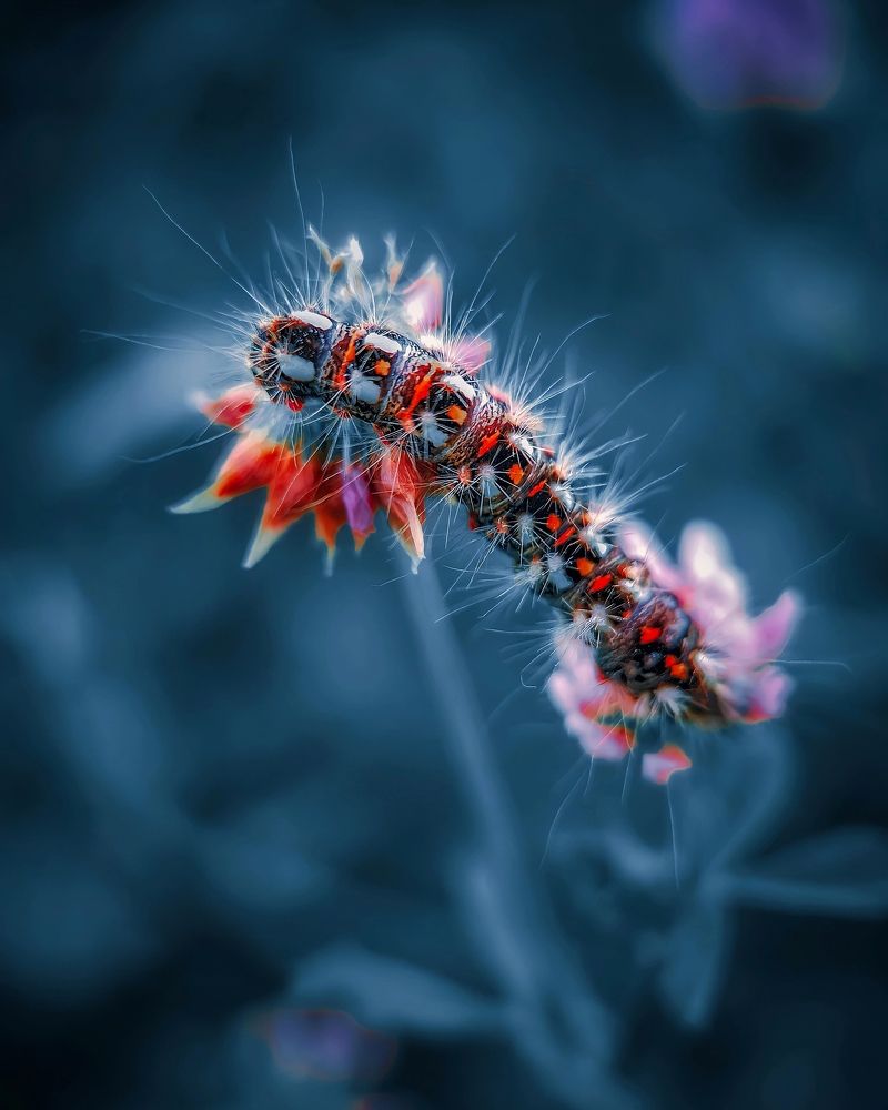 Photograph by Алексей