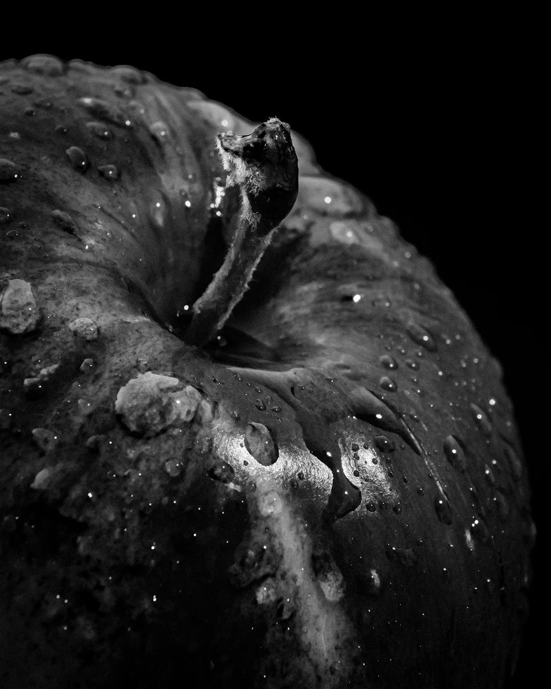 Photograph by Артем Грачев