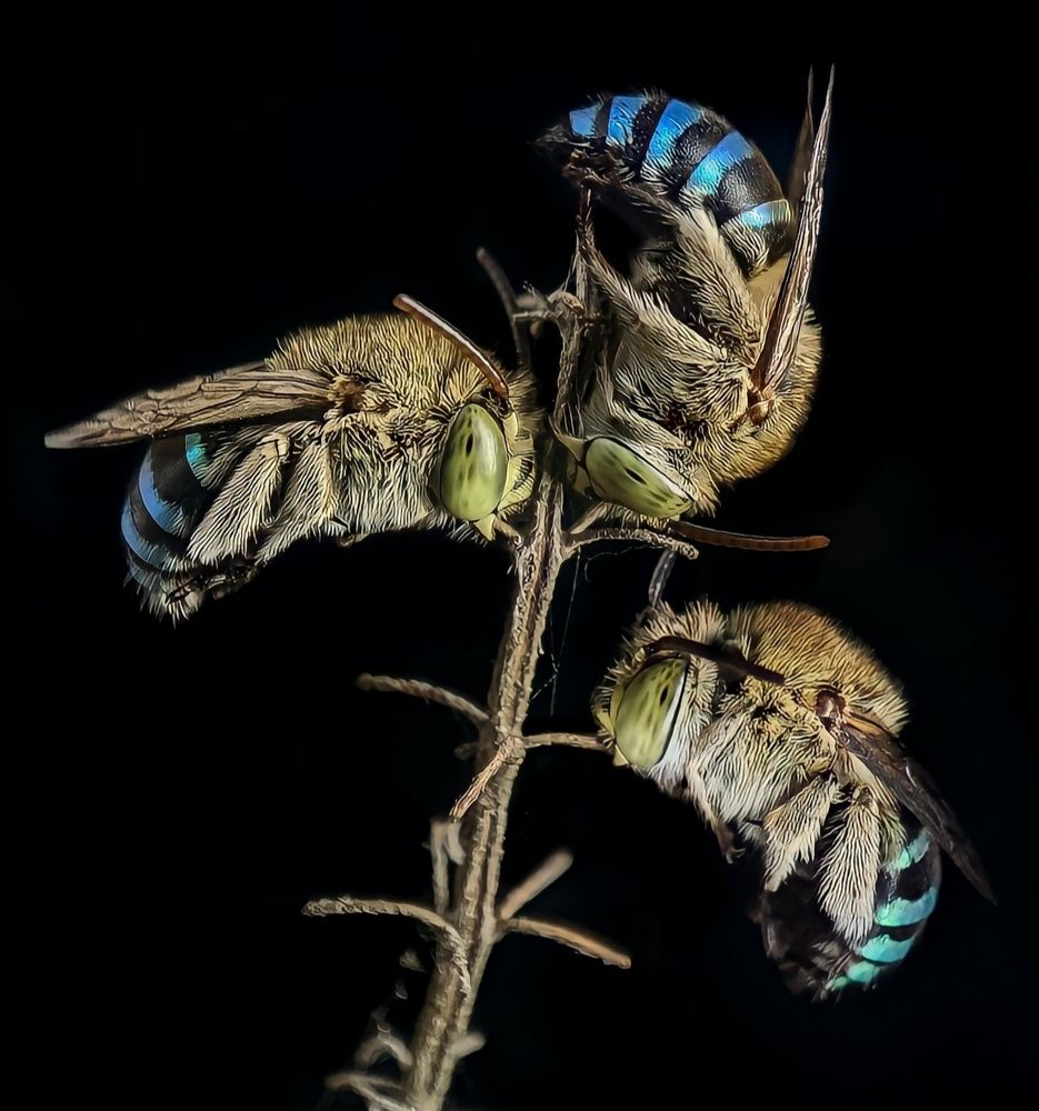 Photograph by Aswin krishna. H