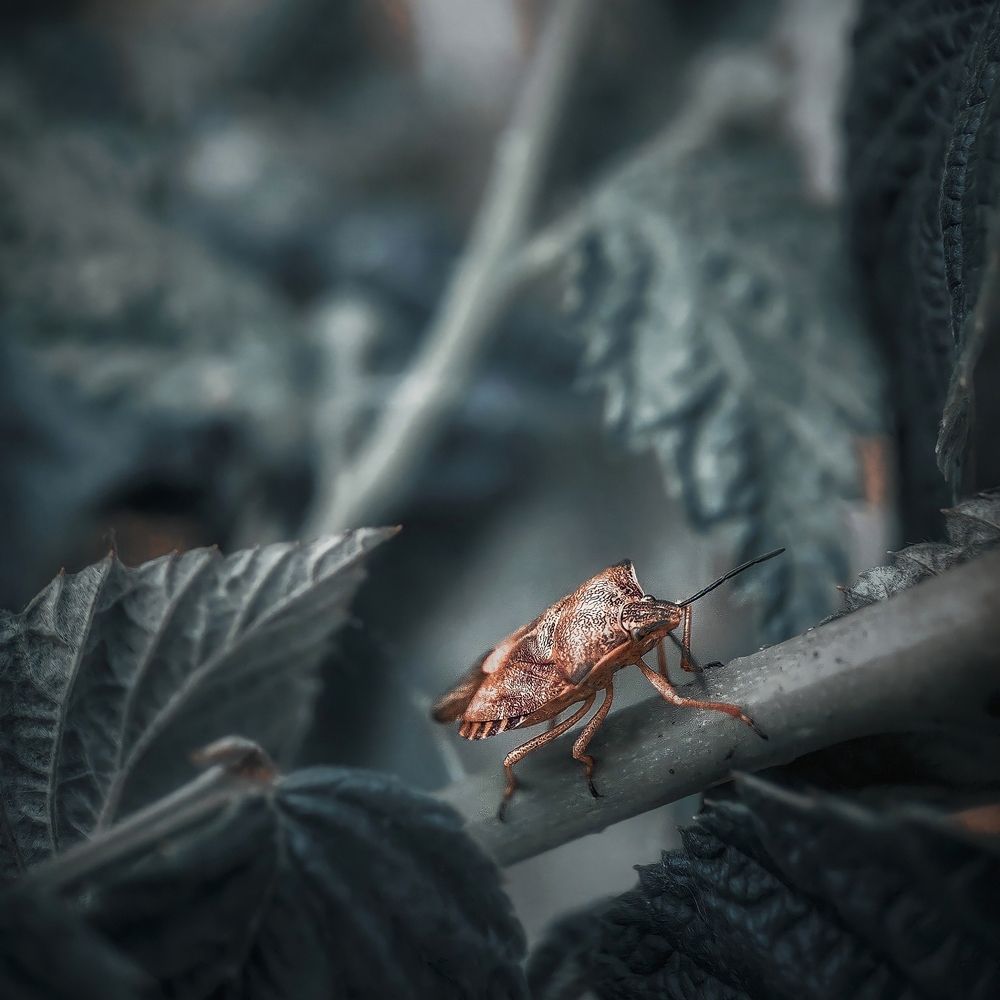 Photograph by Алексей