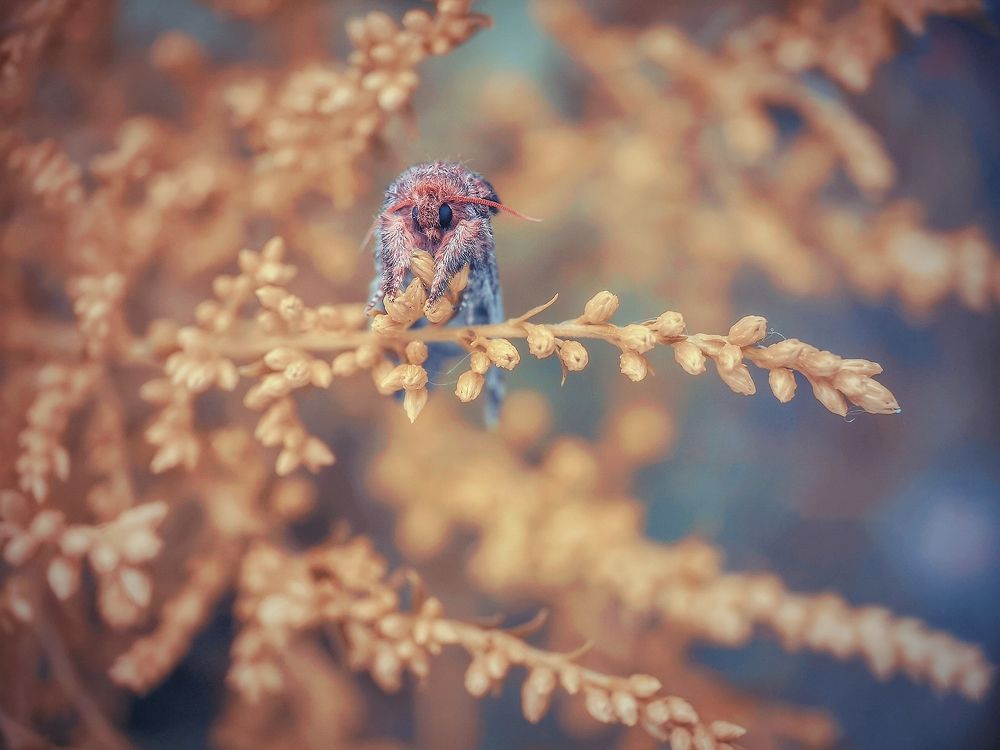 Photograph by Алексей