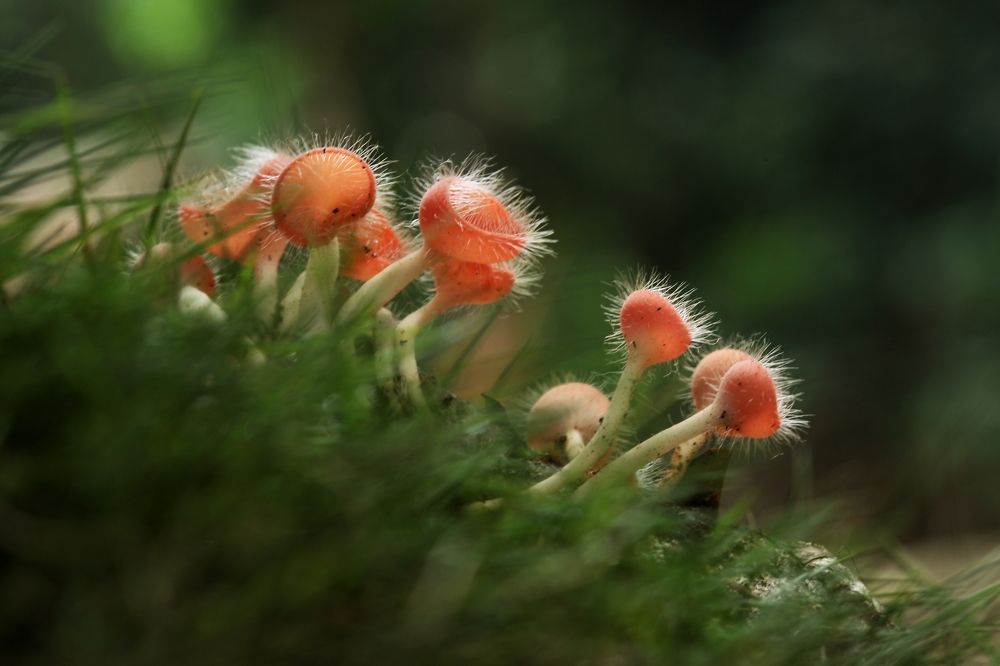 Photograph by ana walsh