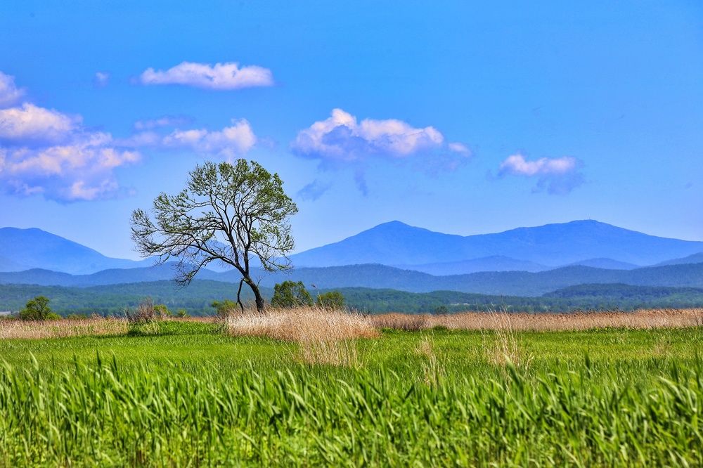 Photograph by Екатерина Цвиркунова