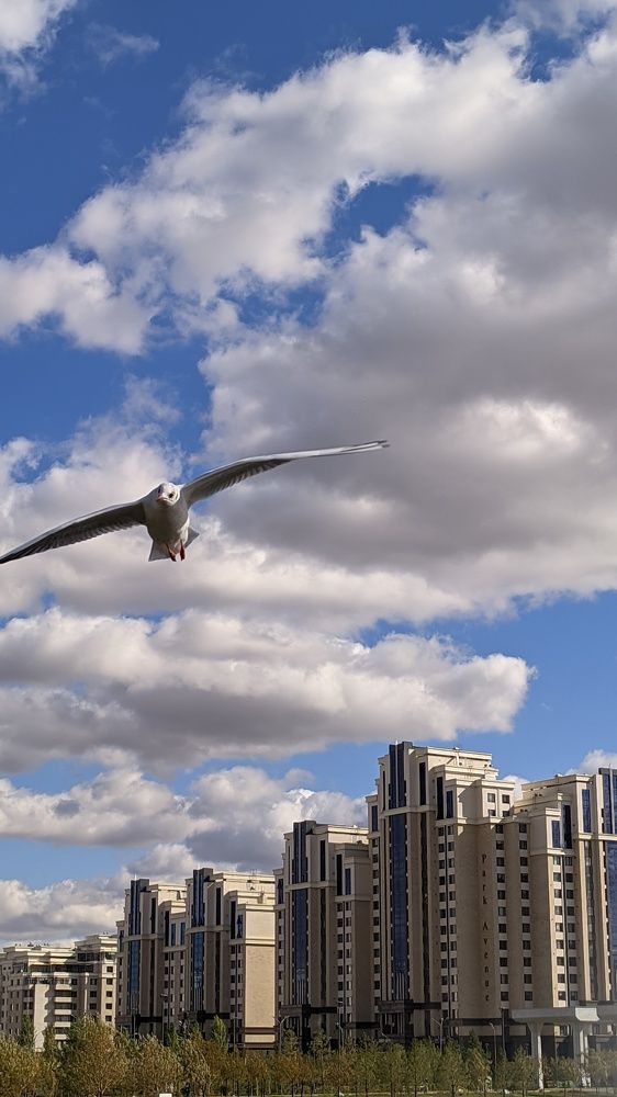 Фотография автора Оксана Никулина