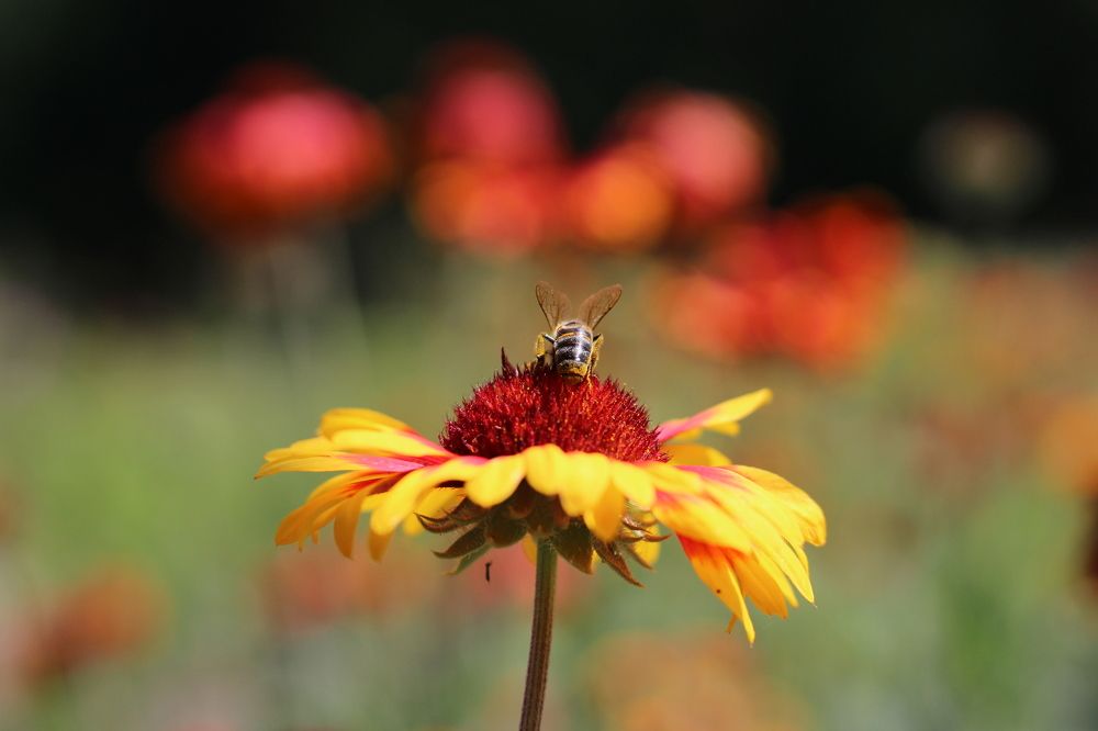 Фотография автора OKSANA