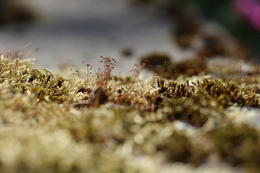 Фотография автора OKSANA