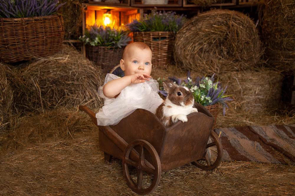 Photograph by Елена Михайлова