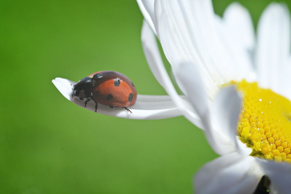 Photograph by Andrey