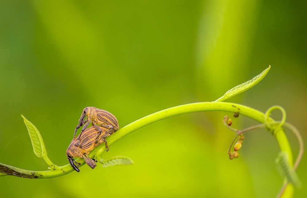 Photograph by Prasad Pavan