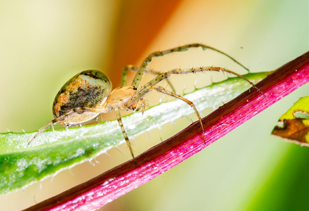 Фотография автора Людмила Прокофьева