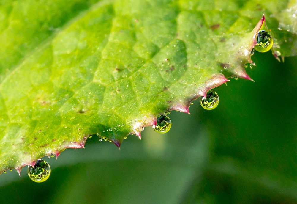 Фотография автора Людмила Прокофьева