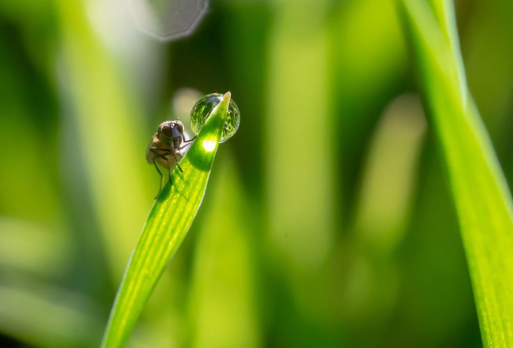 Фотография автора Людмила Прокофьева