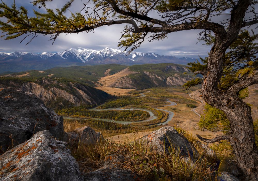 Photograph by Сергей Гук