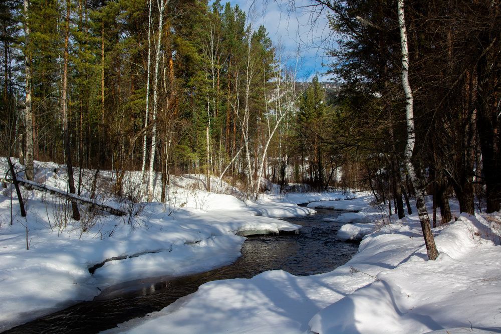 Photograph by Даниленко Дмитрий