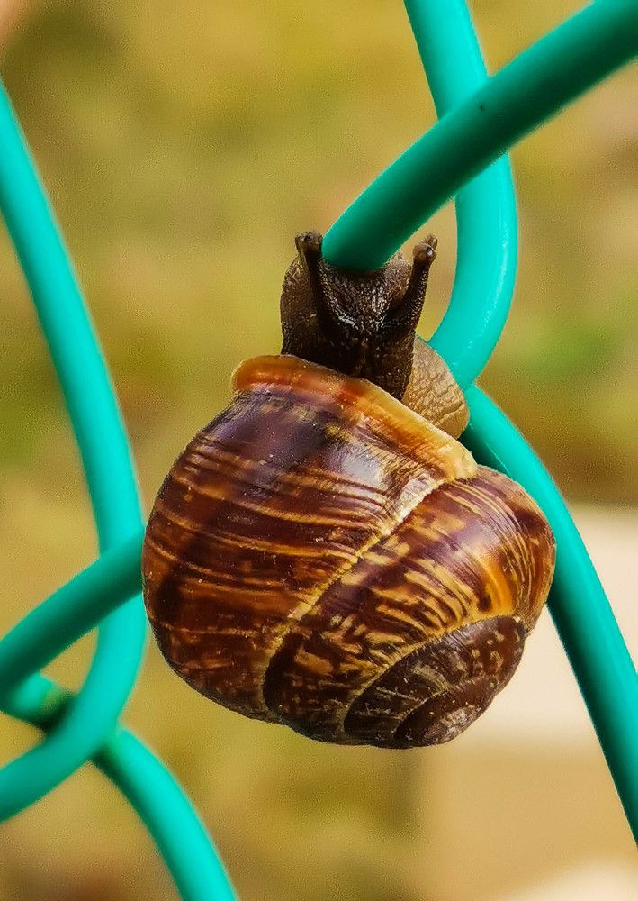 Photograph by Михаил Бояркин