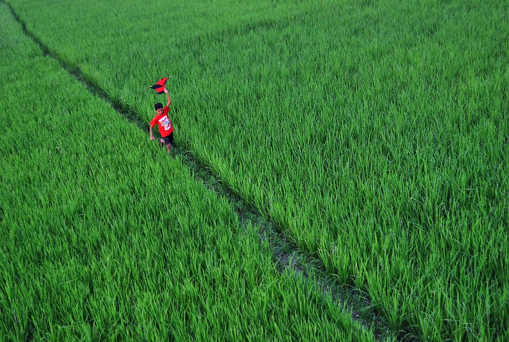 Photograph by CHINMOY BISWAS