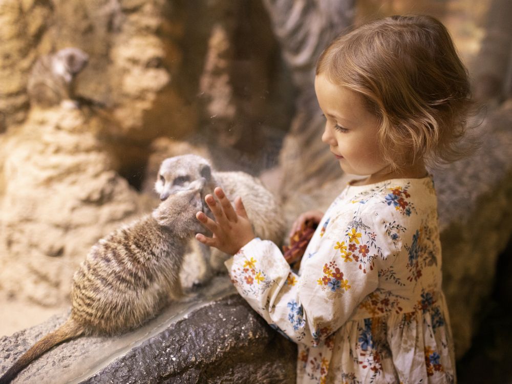 Photograph by Алена Полозкова