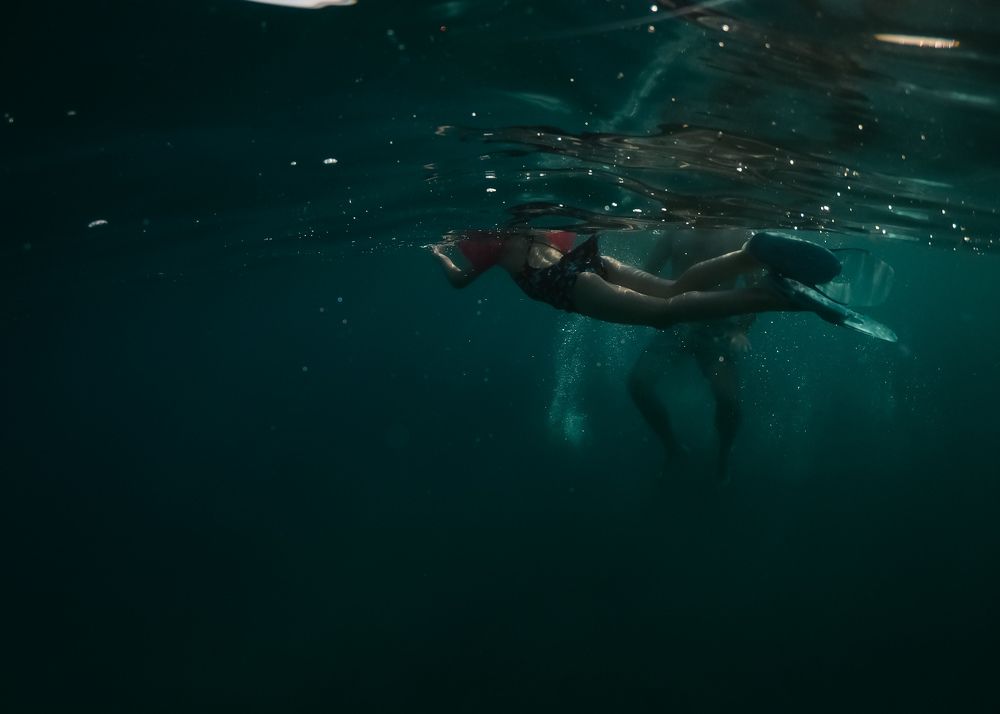 Photograph by Zeljka T