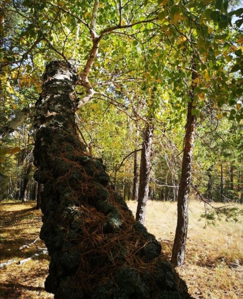 Фотография автора Оксана Никулина
