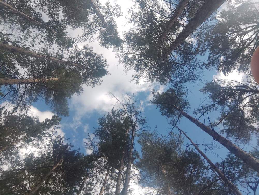 Фотография автора Оксана Никулина