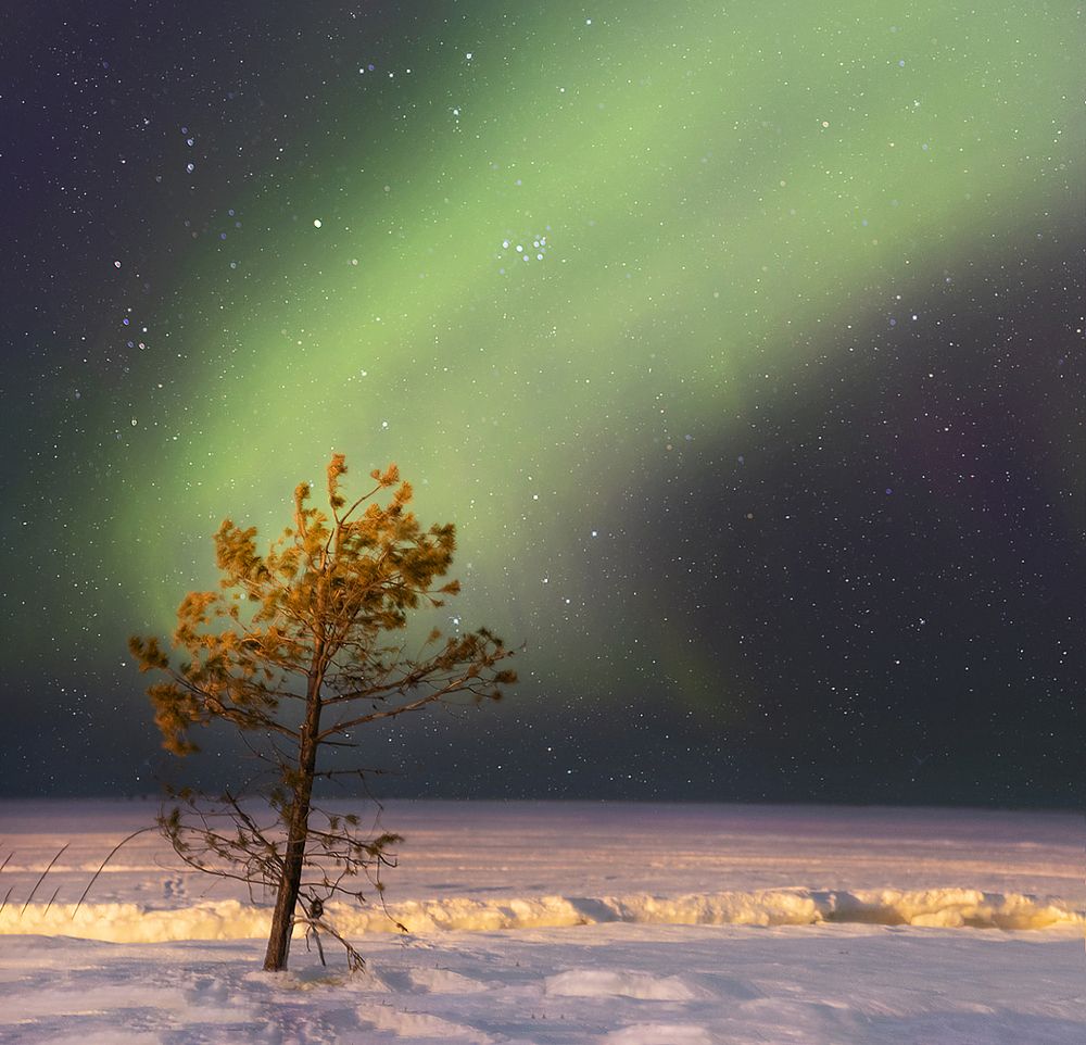 Photograph by Екатерина Тишакова