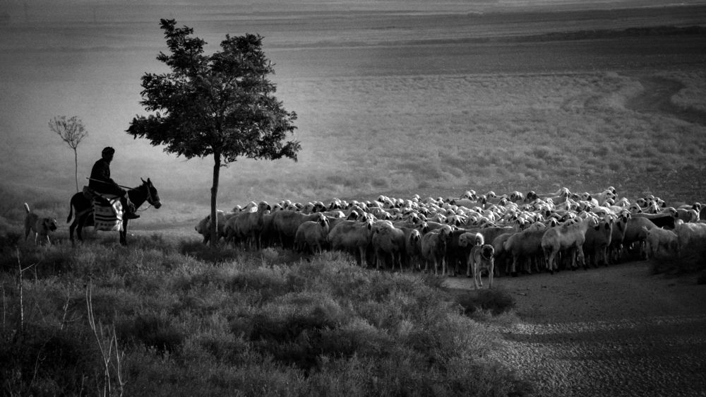 Photograph by Nesrin Ates