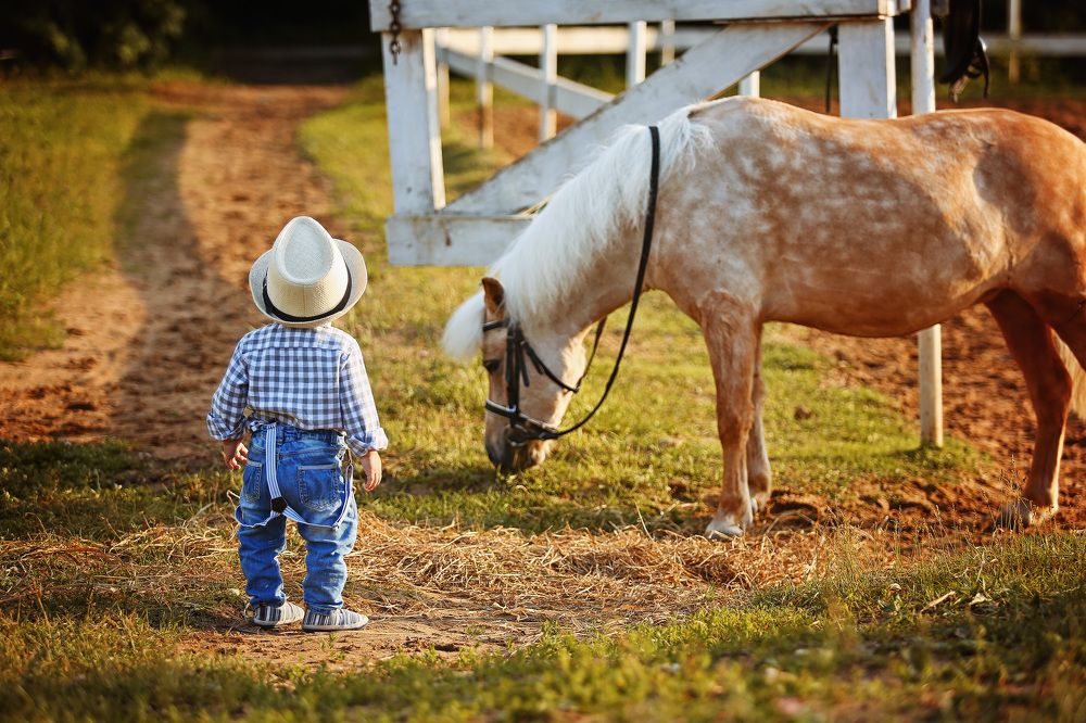Photograph by Elena Podchishchaeva