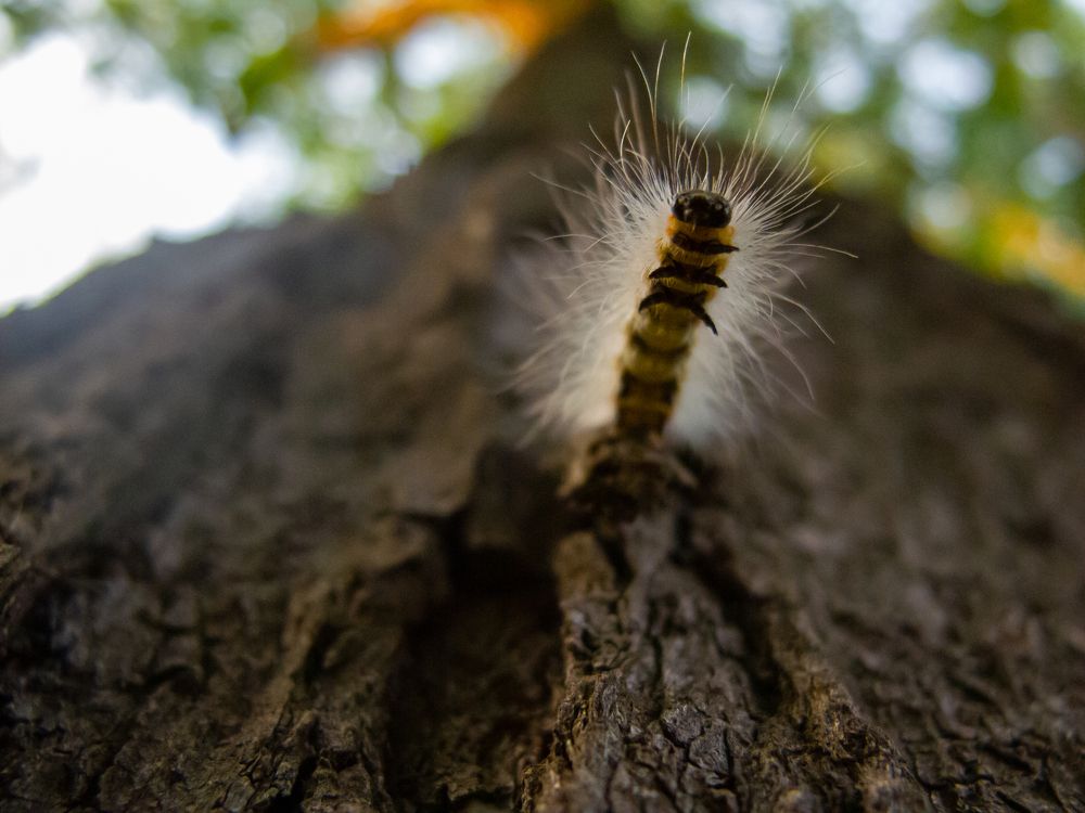 Photograph by Станислав Кунецкий