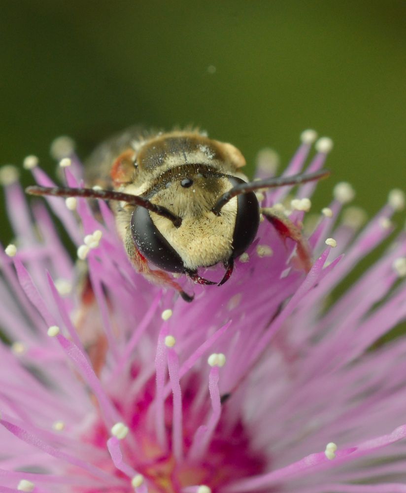 Photograph by Yusak priyanto