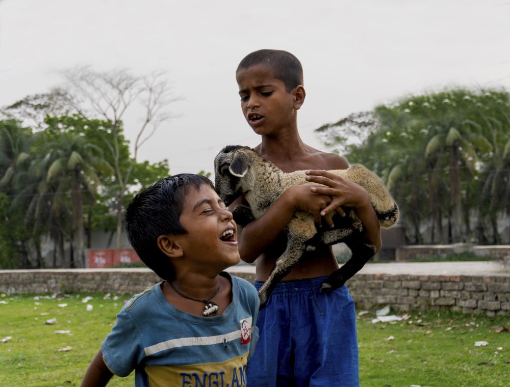 Photograph by Md. Shaafiul Islam Mahin