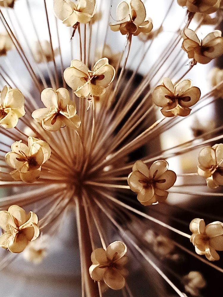 Photograph by Венера Галимова