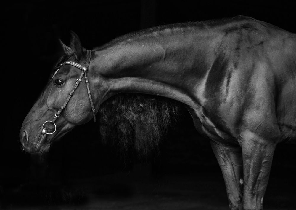 Photograph by Любовь Похабова