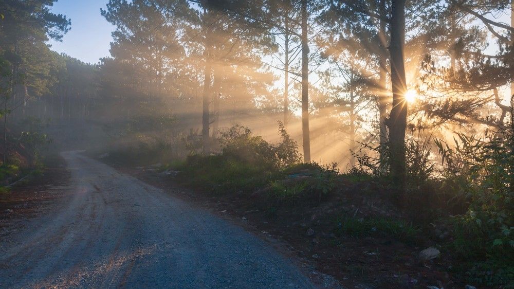 Photograph by Phan Quang