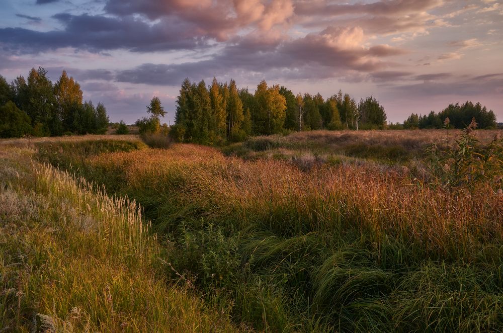 Фотография автора Виктор Долматов