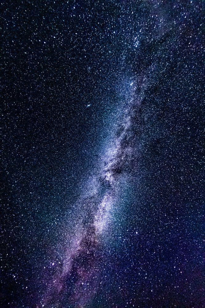 Photograph by Olga Baklunova